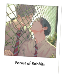 Forest of Rabbits